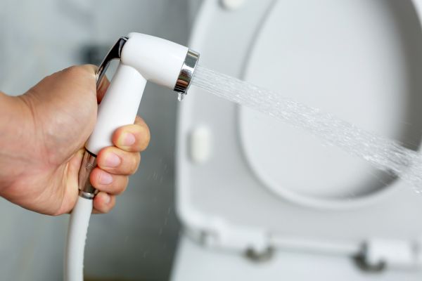 Cost of Bidet Installation in Sugar Land