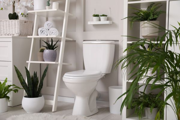 Toilet Repair in Sugar Land