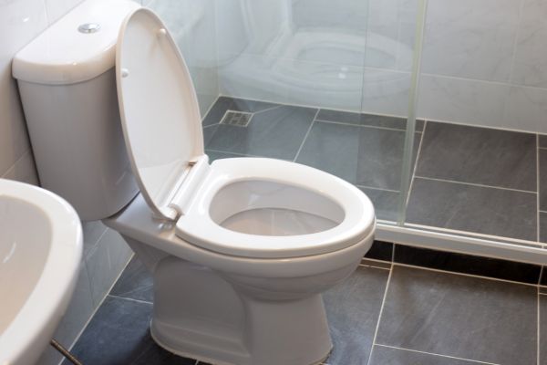 Cost of Toilet Replacement in Sugar Land