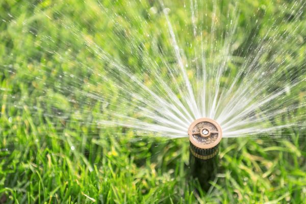 Cost of Spigot Installation in Sugar Land